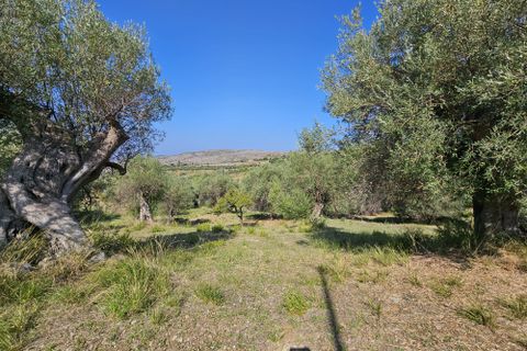 Helårsgrund i Collesano, Palermo, Collesano - € 42.000 | Ref: 10513 - foto 9